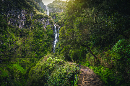 Stunning levada hiking trail