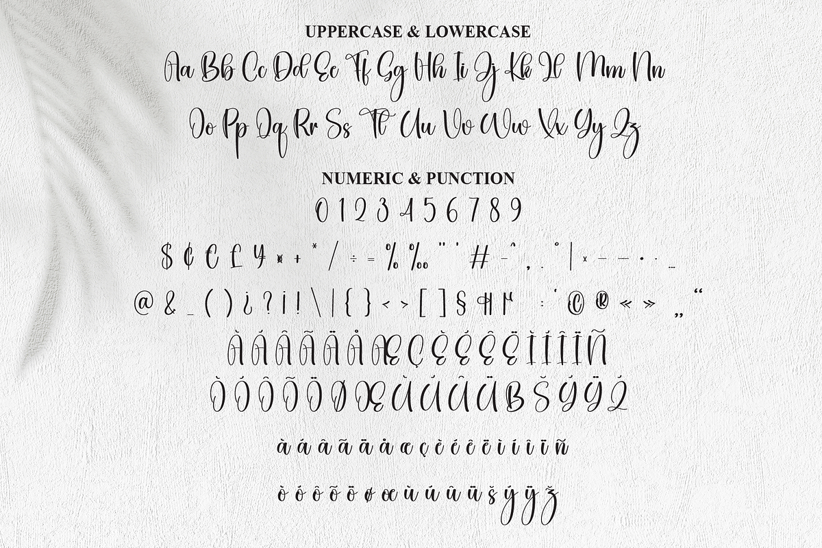 Dingbats | Script Font, a Handwritten Font by Scratchones (Photo 7 of 9)