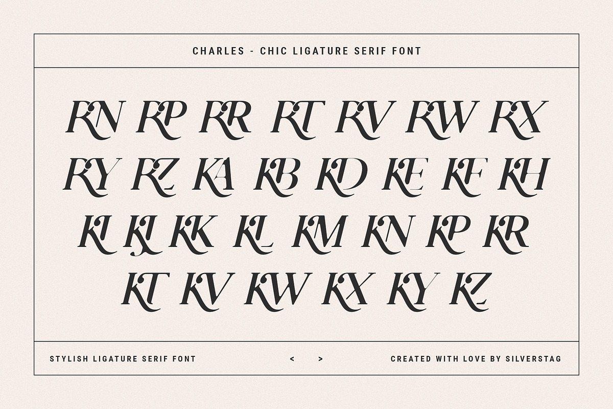 Charles - Ligature Serif Font Family, a Serif Font by SilverStag Type Foundry (Photo 29 of 32)