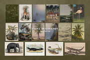 Exotic Archive collection, an Object Graphic by DigARTbyHavroshka (Thumbnail 6 of 14)