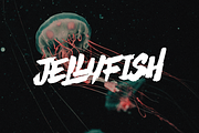 BLIZES Brush Font, a Handwritten Font by Negara Studio (Thumbnail 6 of 9)