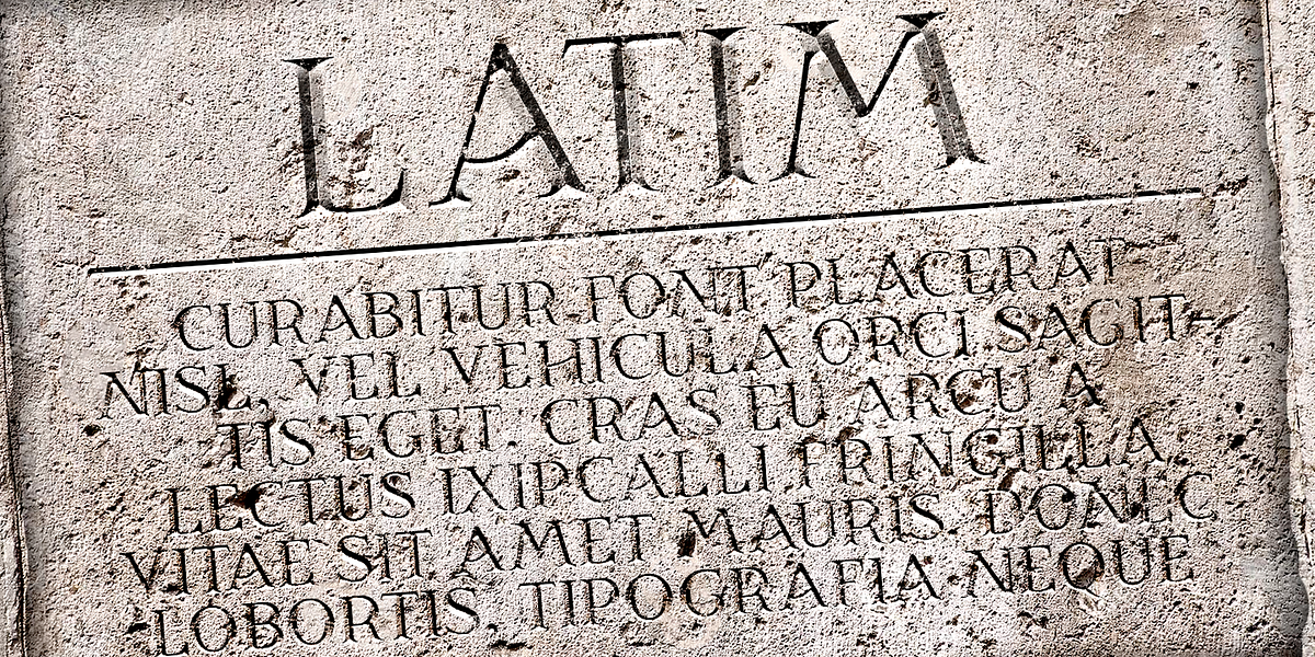 Latim, a Serif Font by Ixipcalli (Photo 2 of 5)