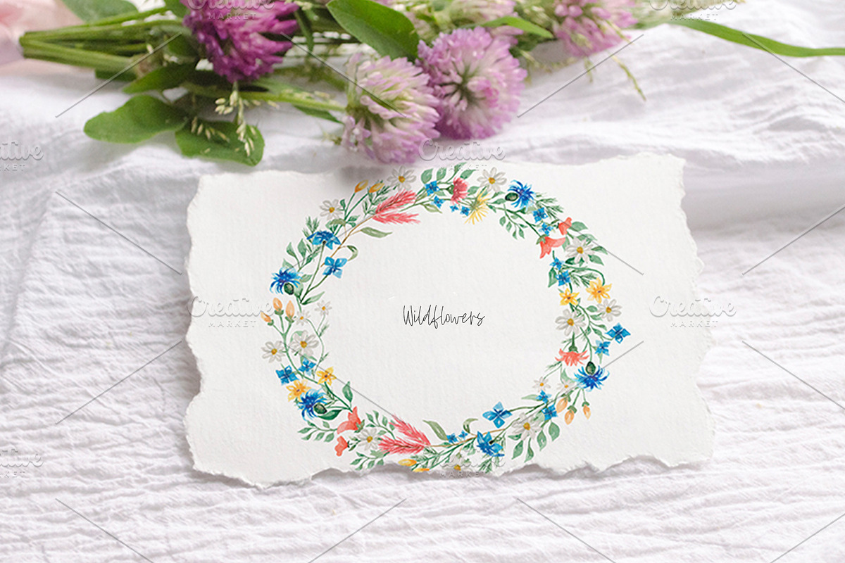 Watercolor Wildflowers Collection, a Decorative Illustration by MayaNavits (Photo 2 of 14)