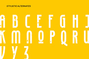 Colotus, a Script Font by Ditatype (Thumbnail 6 of 10)