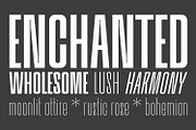 Bersekers Family - Condensed Sans, a Sans Serif Font by Eotype Studio (Thumbnail 3 of 13)