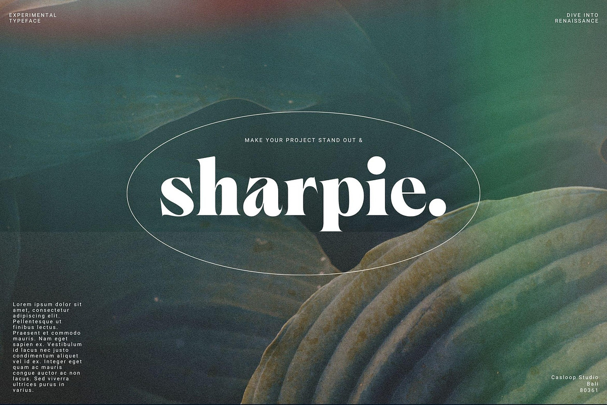 Ornable Experimental Typeface, a Serif Font by Casloop Studio (Photo 4 of 8)