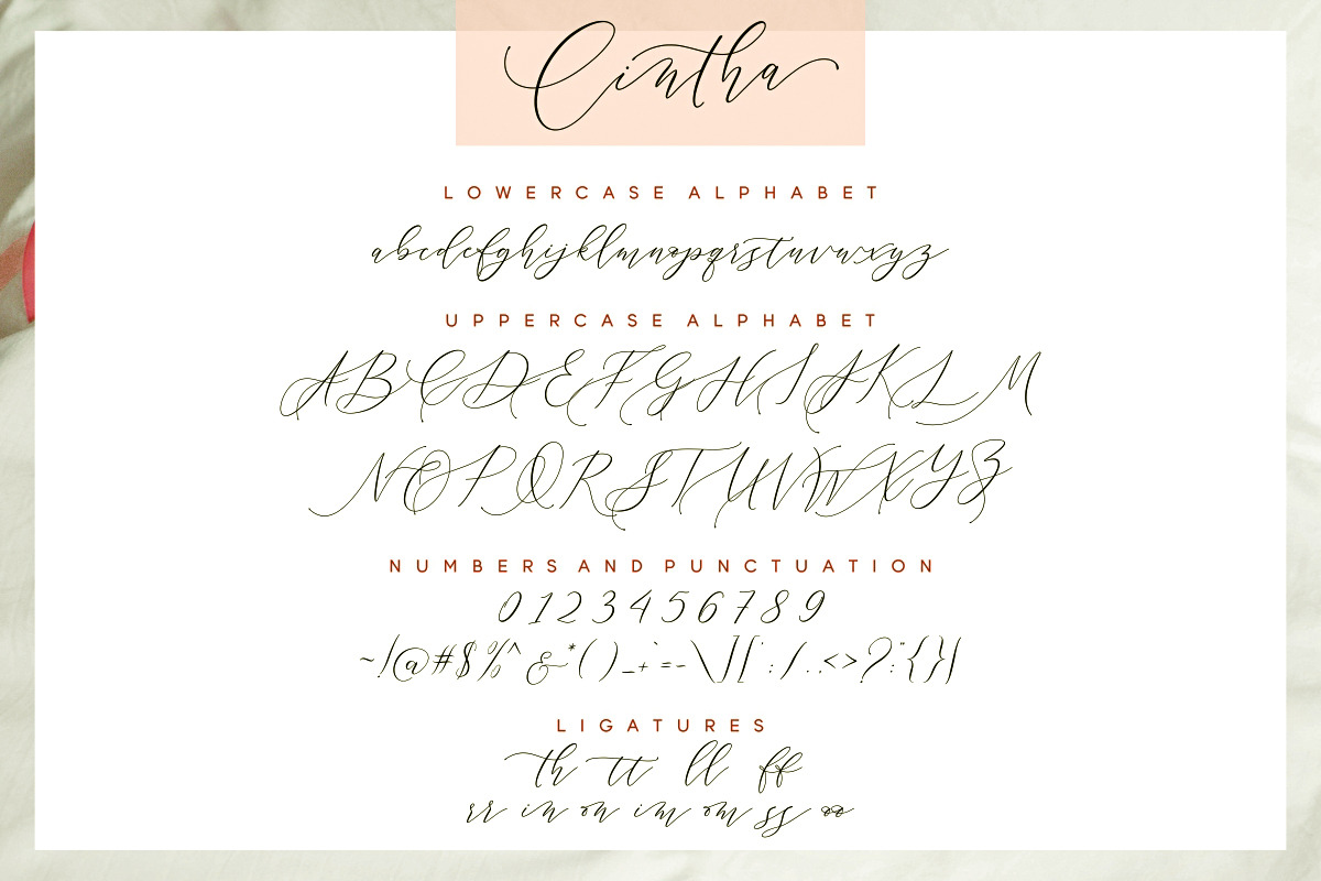 Sale 30% // Cintha Elegant Script, a Script Font by Anatadesign (Photo 9 of 15)