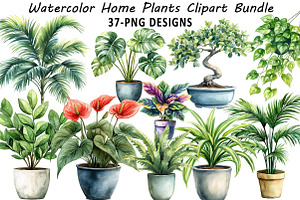 Watercolor Home Plants Clipart, an Illustration by Daily.Designs