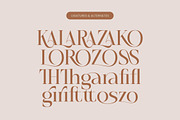 Rosse Merona Modern Serif Font, a Serif Font by timelesstype.co (Thumbnail 19 of 20)
