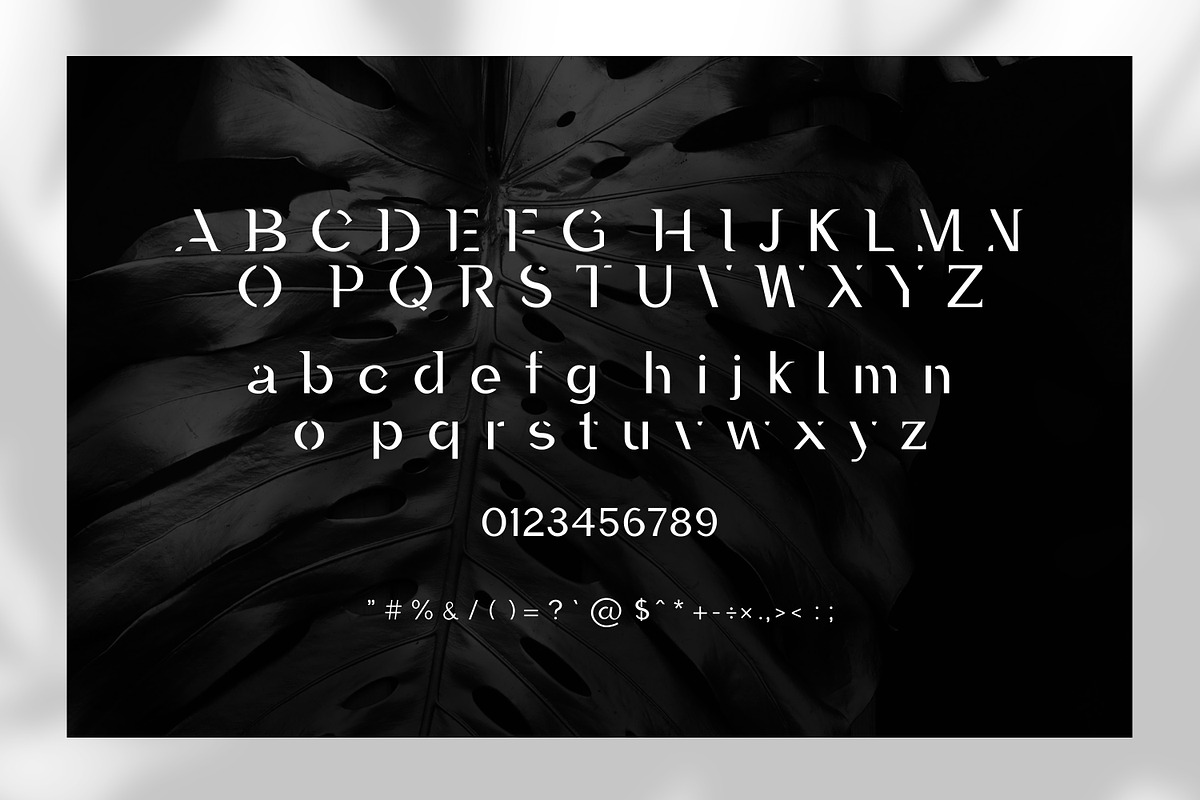 Unique Display Font Bundle, a Font by AndrewPixel (Photo 23 of 99)