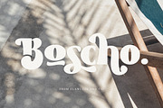 Boscho, a Symbol Font by Flawless And Co (Thumbnail 1 of 9)