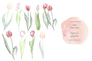 Spring Tulips, an Illustration by Instinct Design Co (Thumbnail 2 of 2)