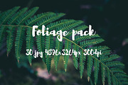 Foliage pack, a Templates & Theme by ApertureVintage (Thumbnail 20 of 21)