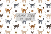 California Spangled Cat clipart set, an Animal Illustration by pet design shop (Thumbnail 6 of 6)