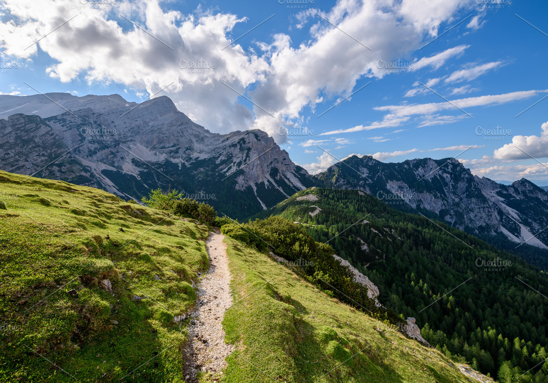 Flowers, path and trees in mountains, a Nature Photo by Dreamy Pixel