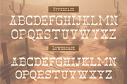 Aldest Tanigo | Western Slab Serif, a Slab Serif Font by Denustudios (Thumbnail 10 of 14)