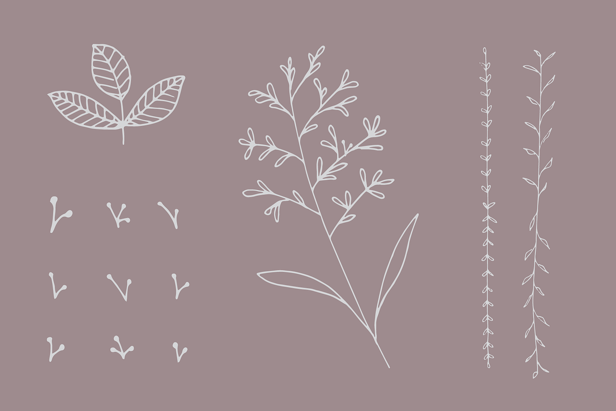 Set of 27 Hand-Drawn Florals, an Illustration by Katie Sinclair (Photo 4 of 4)