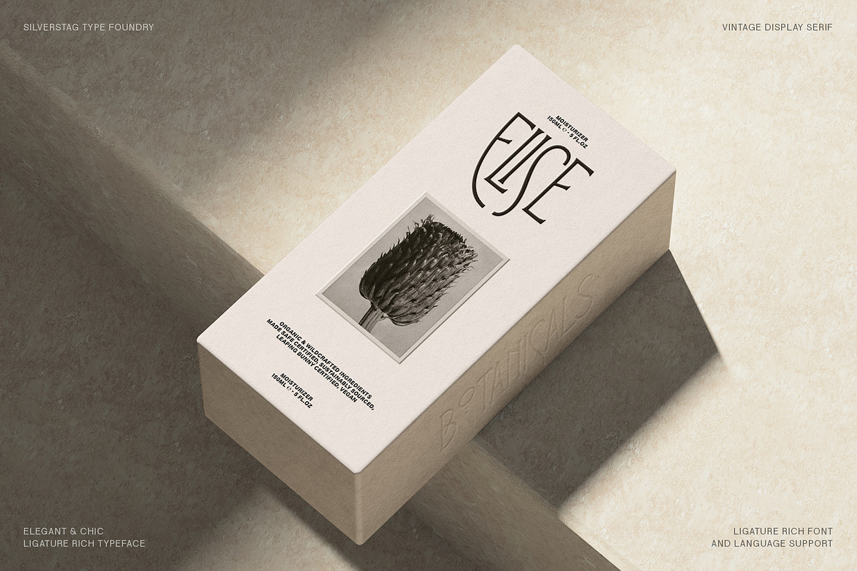 Reina Sofia - Vintage Display Serif, a Serif Font by SilverStag Type Foundry (Photo 19 of 30)