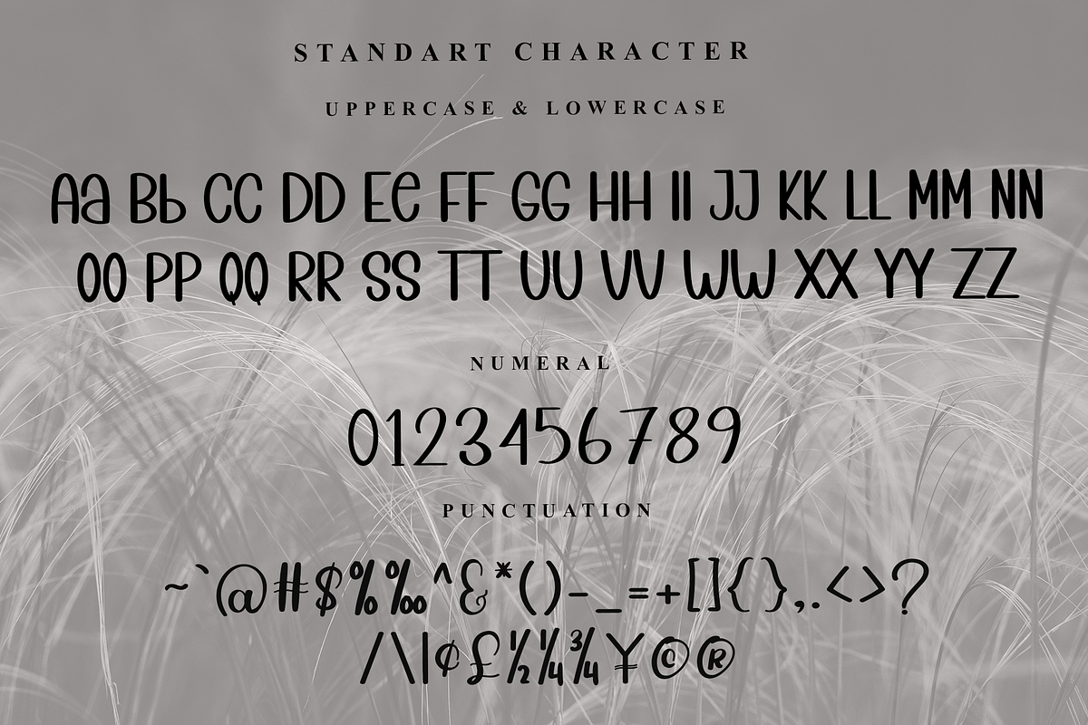 Sweet Smile, a Sans Serif Font by InermediaSTUDIO (Photo 6 of 7)