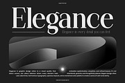 Lunar Type - Family Serif Font, a Serif Font by Flawless And Co (Thumbnail 7 of 10)