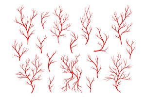 Red veins, human blood vein, a Technology Illustration by Buch&Bee