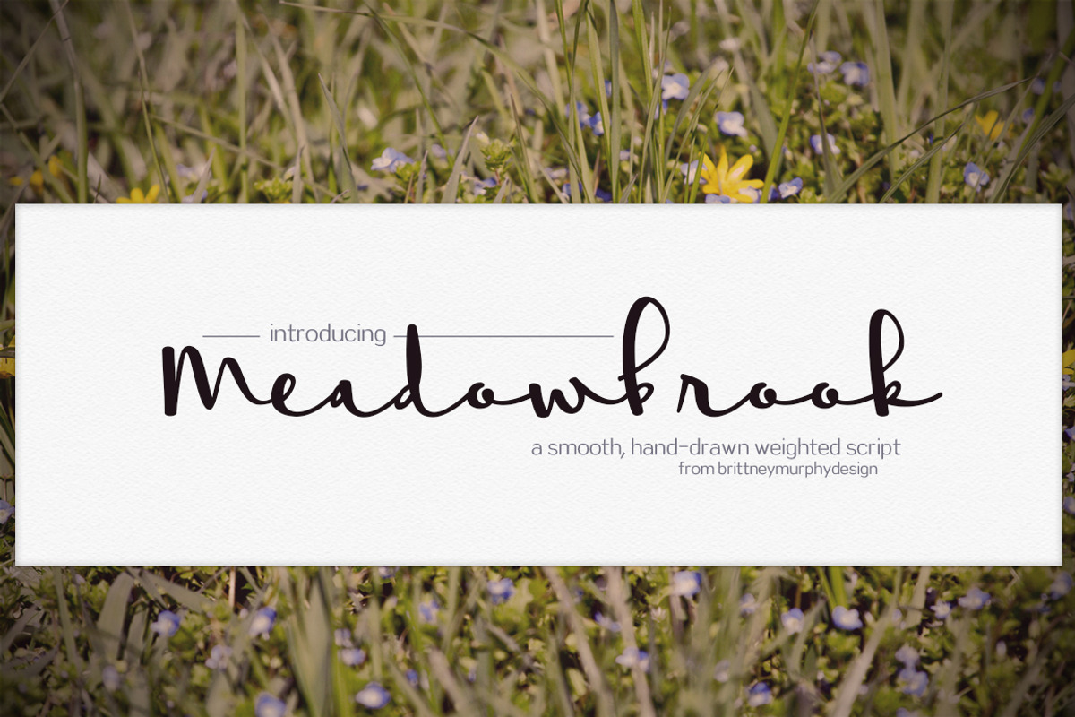 Meadowbrook