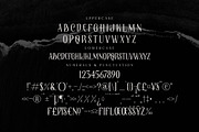 Elaphoras Display Serif Font, a Sans Serif Font by Storytype Studio (Thumbnail 16 of 18)