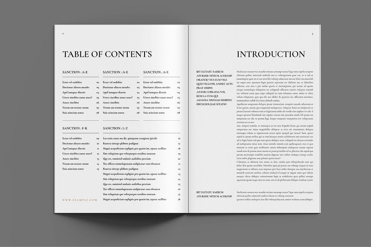 Book Title Layout Design Template, a Magazine Template by ElvinPrint (Photo 2 of 17)