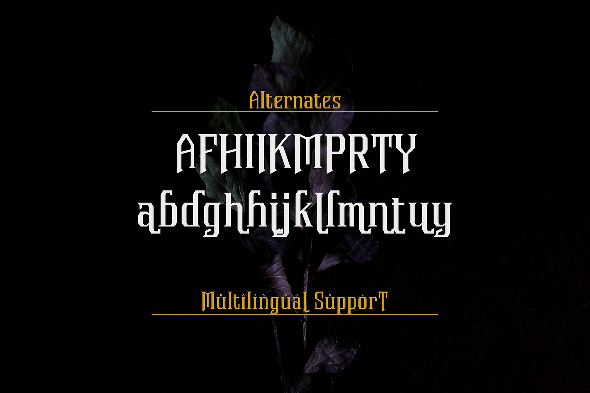 Vorvalla - Gothic Decorative Serif, a Serif Font by agnyhasyastudio (Photo 7 of 10)
