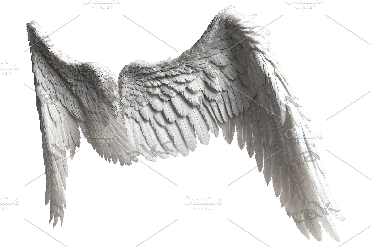 set of photorealistic angel wings, an Object Graphic by itakdalee (Photo 3 of 11)