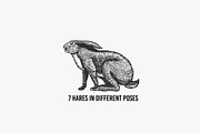 Big set bundle. Animals fox, wolf, an Animal Illustration by Arthur Balitskiy (Thumbnail 4 of 9)