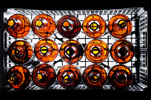 Empty beer amber bottle box with bac