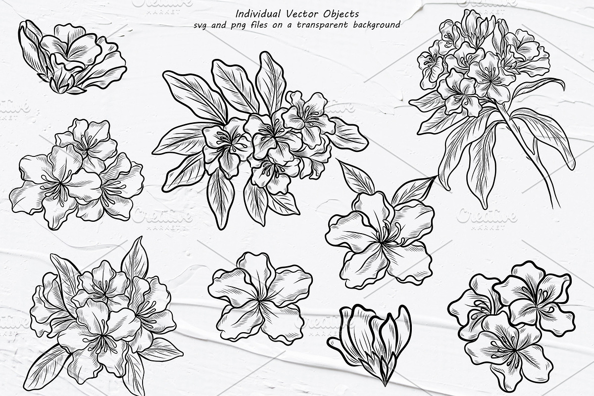 Rhododendron Line Art Clipart, an Outline Icon by BarvArt