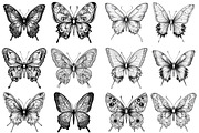 Butterflies Clipart PNG, an Illustration by SinaCreation (Thumbnail 3 of 5)