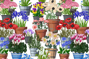 Garden Flowers In Pots. Vector