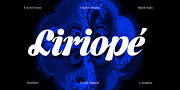 Caliste Display, a Serif Font by A is for... (Thumbnail 5 of 10)