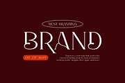 Elagest - Modern Serif Font, a Serif Font by Iqsiart Studio (Thumbnail 4 of 16)