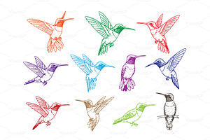 Vector of hummingbirds in flight, an Animal Illustration by yod67