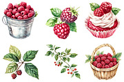 Watercolor Raspberry Clip Art, an Illustration by Watercolor design (Thumbnail 3 of 4)