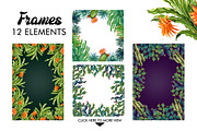 Watercolor Cactuses, an Illustration by Graphobia (Thumbnail 5 of 9)