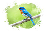 Watercolor Photo Effects, an Action Add-On by 3d_model_tifotizi (Thumbnail 3 of 3)
