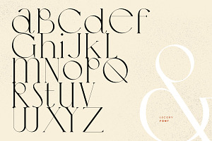 Lecory Font