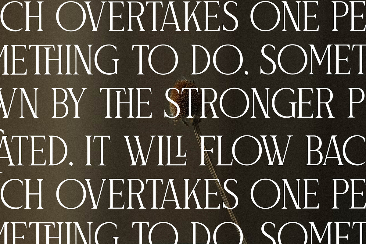 Naftegfo A New Modern Serif, a Serif Font by Storytype Studio (Photo 8 of 15)