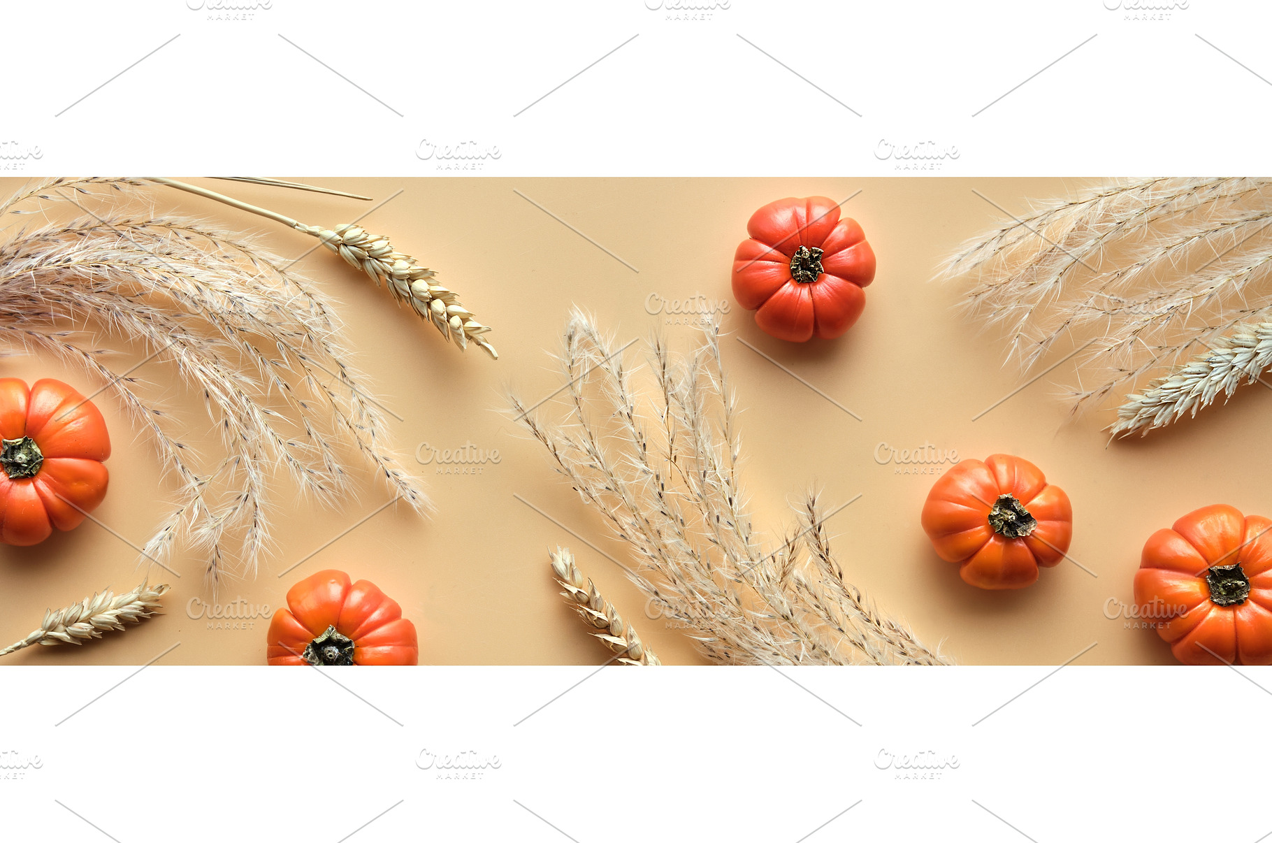 Autumntime background with tiny, an Abstract Photo by tilialucida
