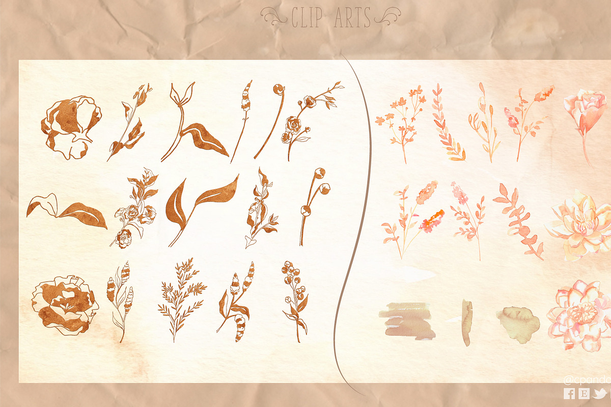 Botanical Champagne watercolor, a Decorative Illustration by CpandoShop (Photo 2 of 7)