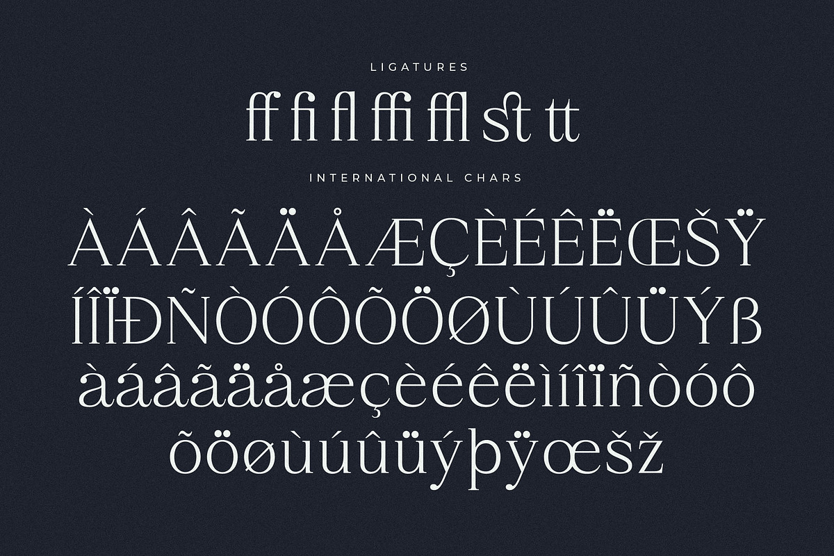 Qestrafin Modern Serif Font, a Serif Font by Letterena Studios (Photo 14 of 15)