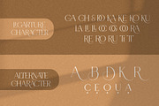 Carlly | Modern Elegant, a Serif Font by Pentagonistudio (Thumbnail 10 of 10)