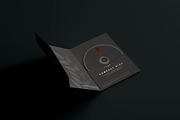 Disc & Sleeve Mockup, a Product Mockup by pmvch (Thumbnail 9 of 10)