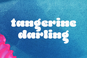 Gush - Tropic Font, a Sans Serif Font by Sans & Sons (Thumbnail 6 of 10)