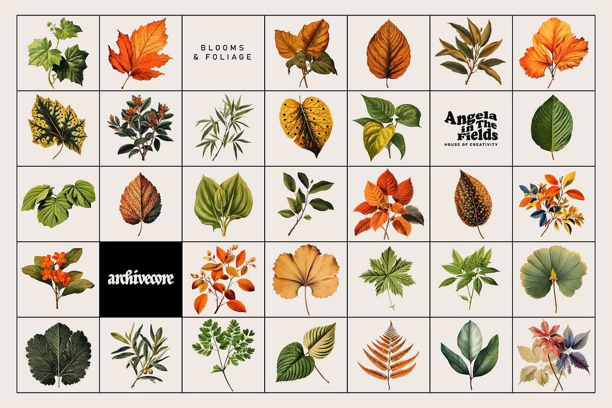 BOOK OF FLOWERS 2 Clipart, an Object Graphic by angelainthefields (Photo 10 of 13)